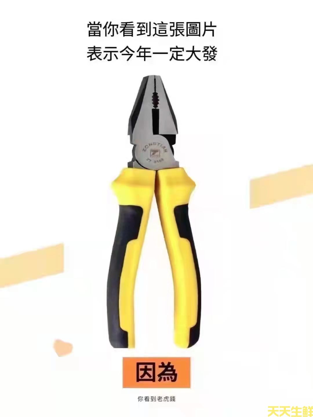 ����Ի���,һ�����˰�����(ͼ5)