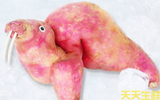 �׶�԰�߲��ֹ���ҵ(ͼ4)