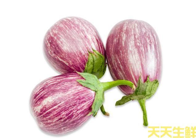 广州农产品配送公司告诉你,茄子的种类有哪些?(图5) 广州农产品配送公司告诉你,茄子的种类有哪些?(图5)