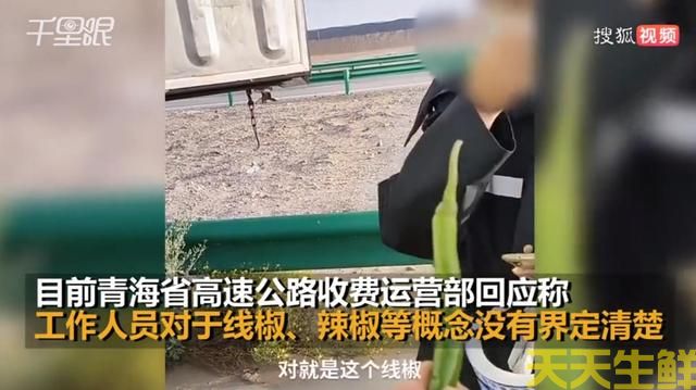 �߽�������������������ɫͨ���������߲����͹�˾�л�Ҫ˵(ͼ3)