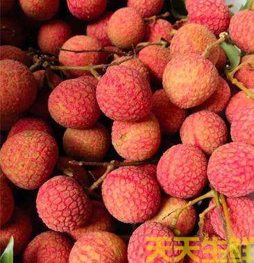 ��֦��Ʒ������Щ�������߲����͹�˾����(ͼ4)