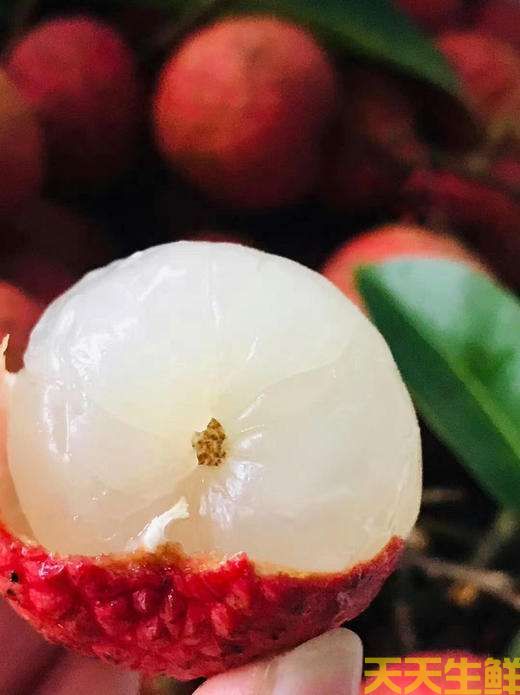 ��֦��Ʒ������Щ�������߲����͹�˾����(ͼ16)