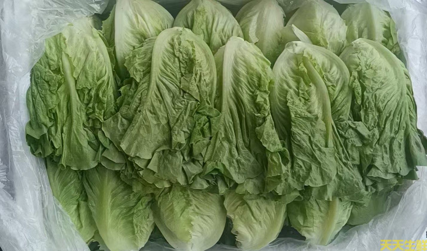 2024��7.8�·��߲˼۸�Ϊʲô��������(ͼ1)