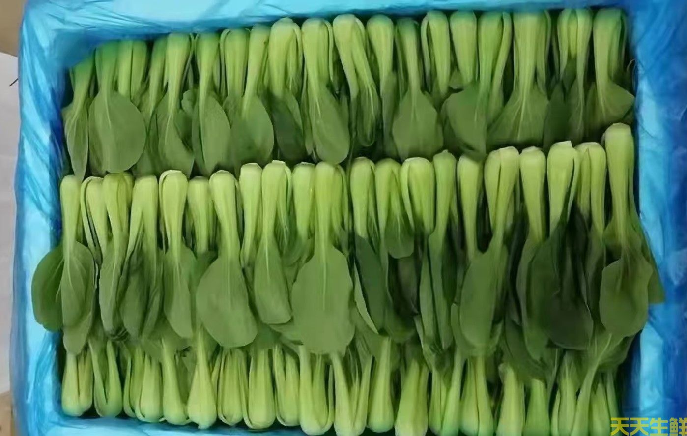 2024��7.8�·��߲˼۸�Ϊʲô��������(ͼ2)