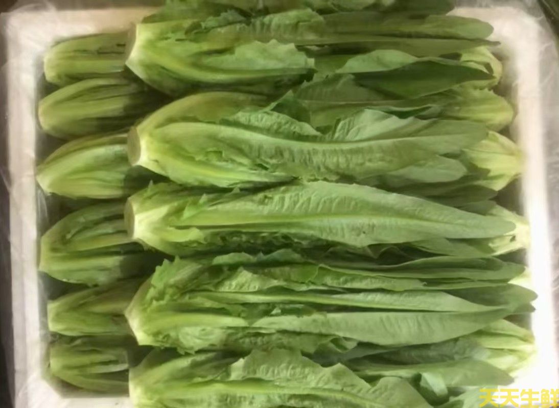 2024��7.8�·��߲˼۸�Ϊʲô��������(ͼ3)